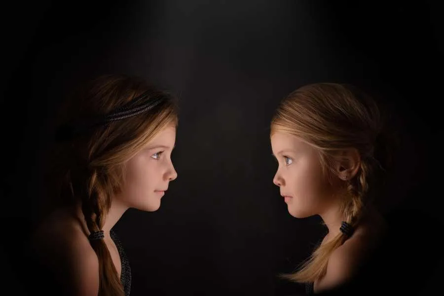 portrait art